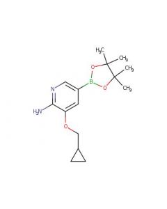 Astatech 3-(CYCLOPROPYLMETHOXY)-5-(4,4,5,5-TETRAMETHYL-1,3,2-DIOXABOROLAN-2-YL)PYRIDIN-2-AMINE; 1G; Purity 95%; MDL-MFCD29763683